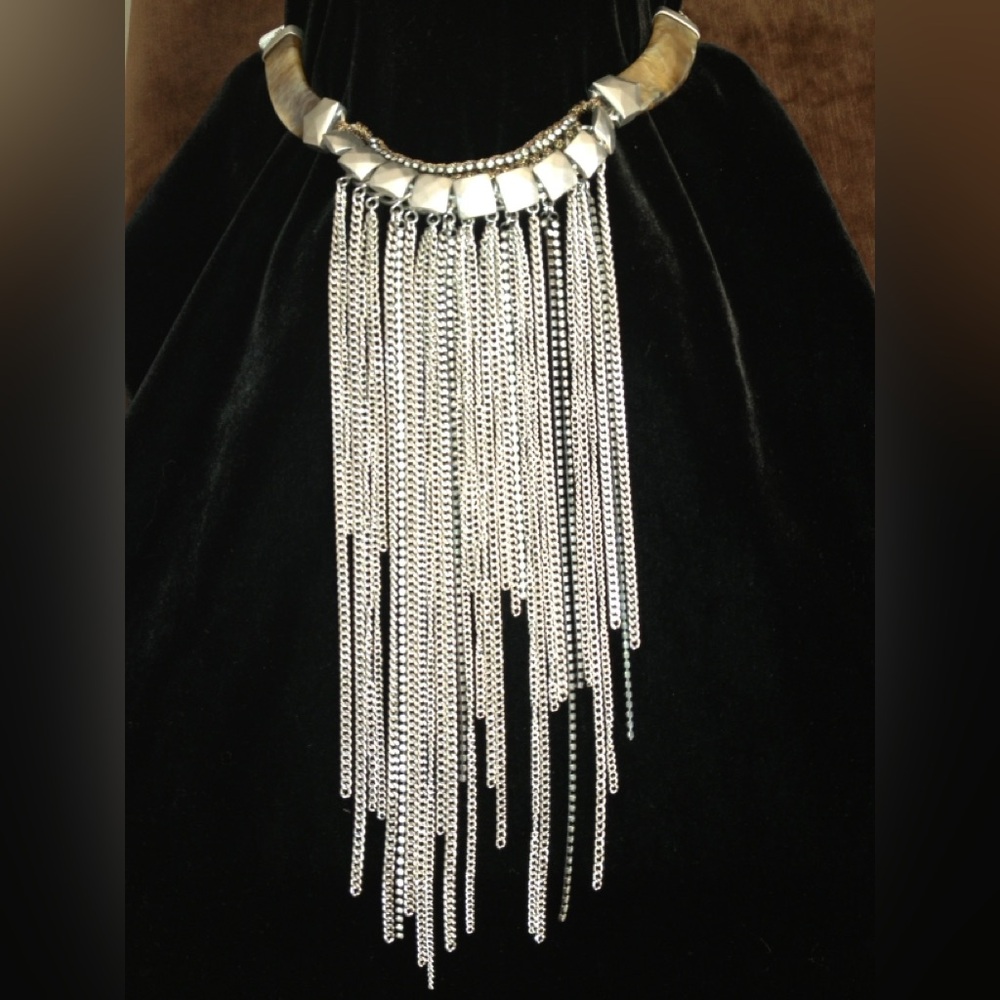 Stella and Dot Silver with Horn Accent Fringe Necklace